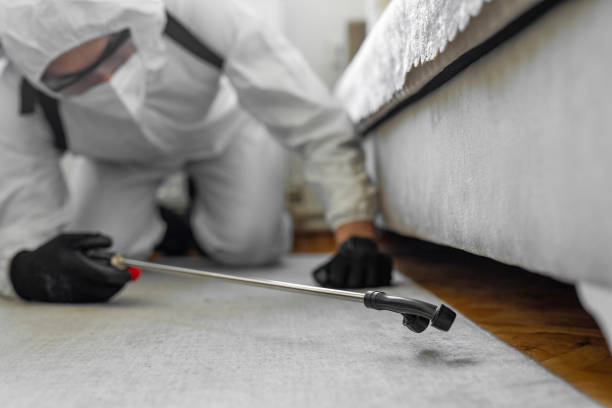Professional Bed Bug Control technician working in Adairsville, GA