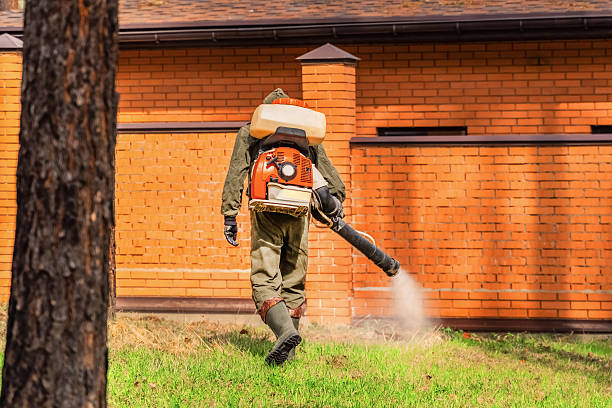 Trusted Rodent Control service in Adairsville, GA - Nex Pest Control
